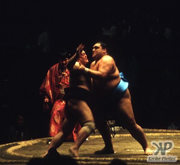 cd85-s14.jpg - Sumo Wrestling