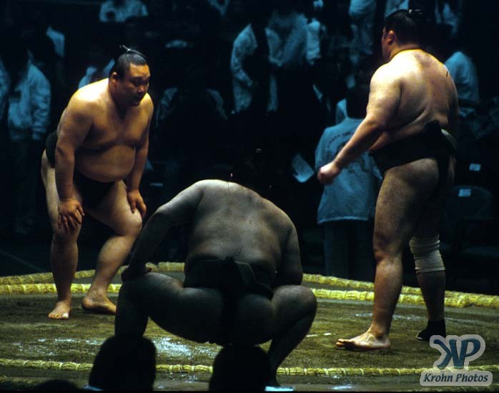 cd86-s01.jpg - Sumo Wrestling
