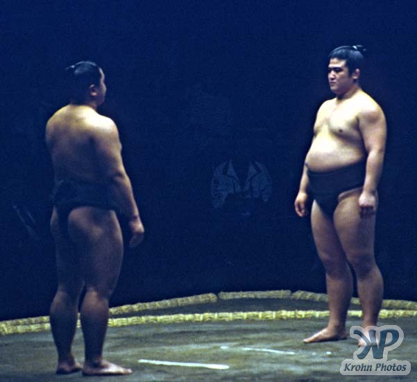 cd86-s11.jpg - Sumo Wrestling