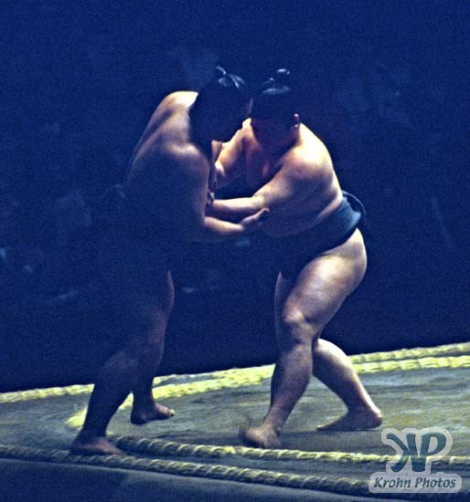 cd86-s12.jpg - Sumo Wrestling