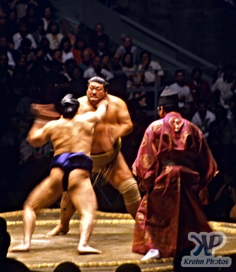 cd86-s21.jpg - Sumo Wrestling