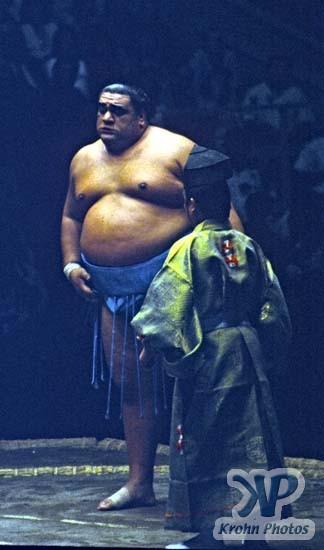 cd86-s23.jpg - Sumo Wrestling