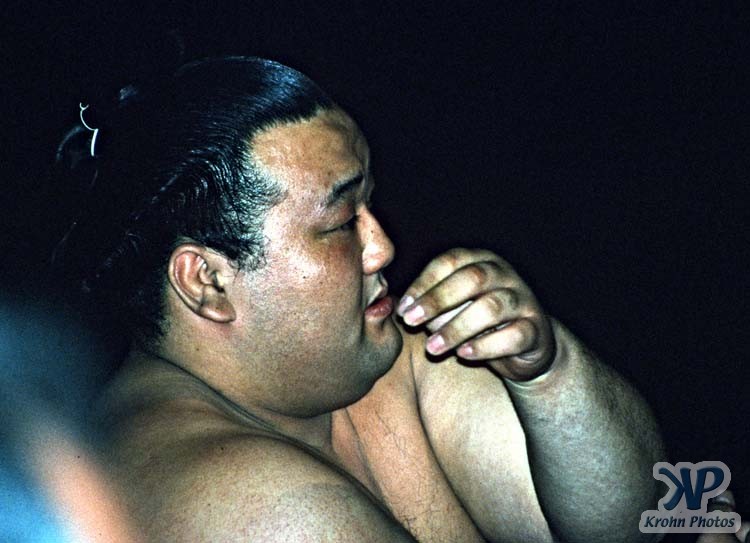 cd86-s24.jpg - Sumo Wrestling