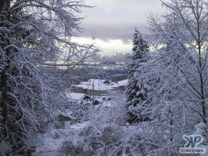 cd01-d14.jpg - Vancouver in the snow