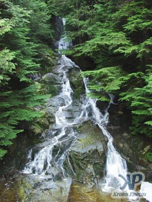 cd71-d15.jpg - Brother's Creek waterfall