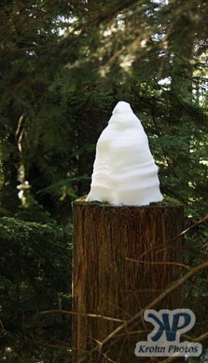 cd71-d22.jpg - Nature's Icecream Cone