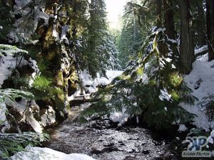 cd71-d25.jpg - Brother's Creek