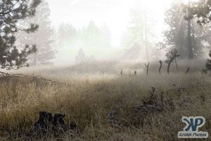 cd174-d01.jpg - Foggy Morning