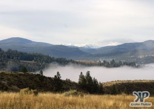 cd174-d02.jpg - Fog in the Valley