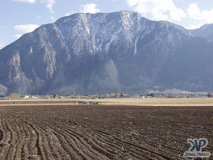 cd70-d29.jpg - Farmland