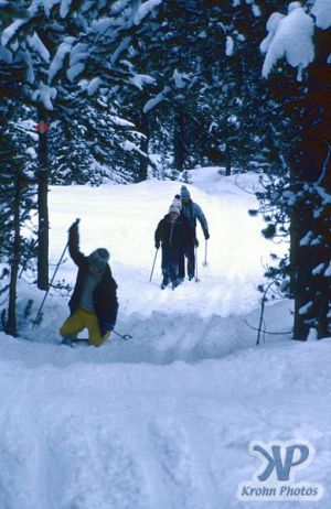 cd70-s10.jpg - Manning Park