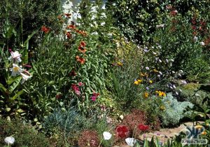 cd1000-s19.jpg - Garden Scene