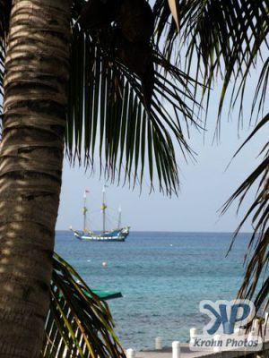 cd124-d07.jpg - Grand Cayman 