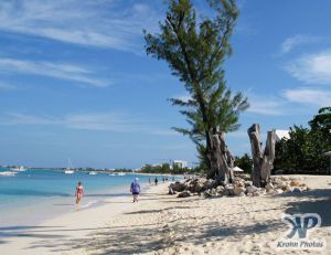 cd124-d11.jpg - Grand Cayman 