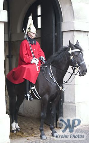 cd122-d02.jpg - Horse Guard