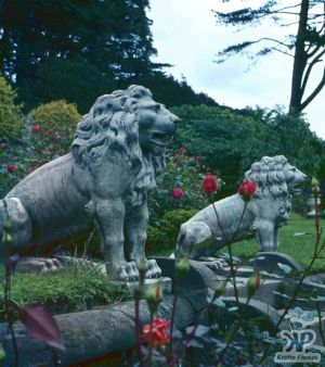 cd20-s27.jpg - Lion statues