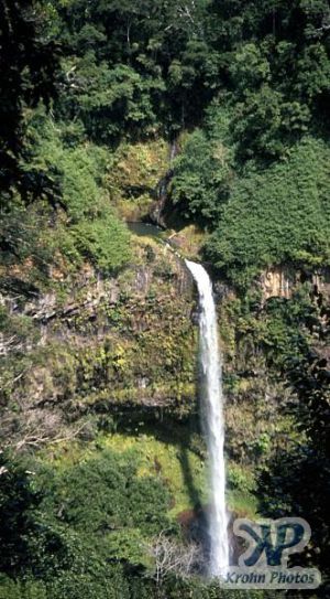 cd80-s29.jpg - Waterfall