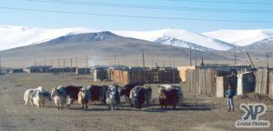 cd66-s06.jpg - Western Mongolia