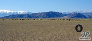 cd66-s23.jpg - Western Mongolia