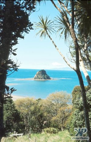 cd35-s01.jpg - Orewa