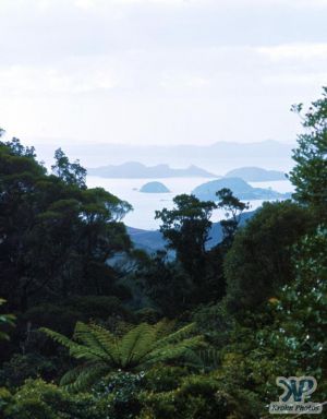 cd35-s26.jpg - A view of the Bay of Islands