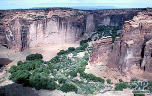 cd1031-s19.jpg - Canyon