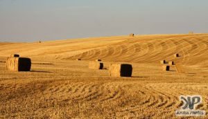 cd134-d02.jpg - Bales of straw