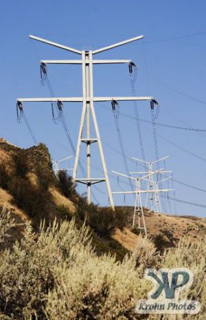 cd134-d04.jpg - Pylons