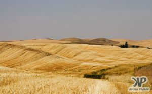 cd134-d12.jpg - Rolling hills