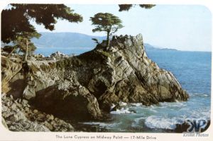 cd2031-pc06.jpg - The Lone Cypress