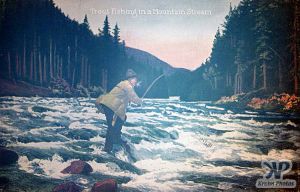 cd2030-pc13.jpg - Trout Fishing