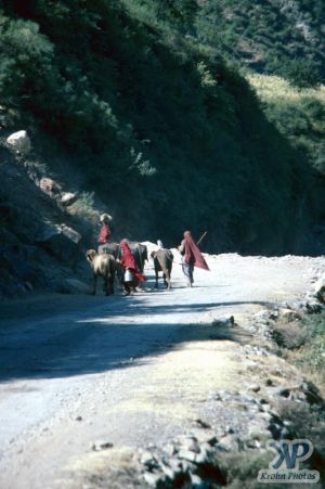 cd03-s14.jpg -  Local herders