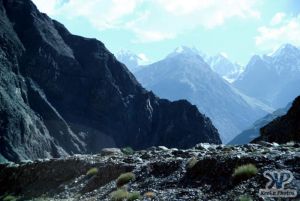 cd04-s11.jpg - Himalayas 