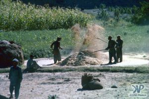 cd04-s19.jpg - Farmers at work