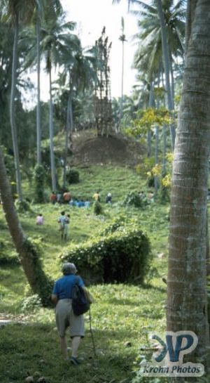 cd45-s01.jpg - Land Divers platform