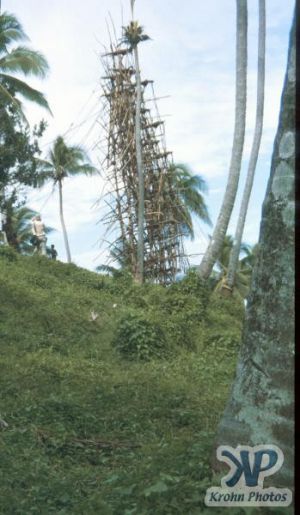 cd45-s19.jpg - Land Divers' Tower