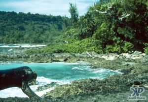 cd46-s04.jpg - Stony Beach