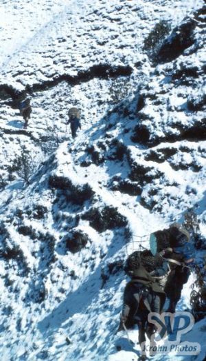 cd50-s06.jpg - Trekking in the snow