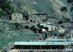 cd51-s06.jpg - Tibetan Refugee camp