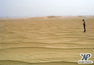 dvd1000-s125.jpg - Sahara