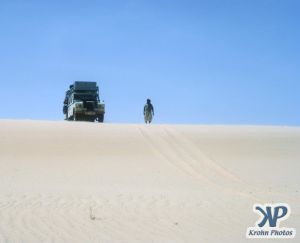 dvd1000-s134.jpg - Sahara