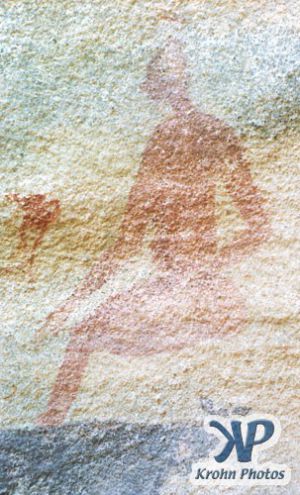 dvd1000-s145.jpg - Saharan rock painting